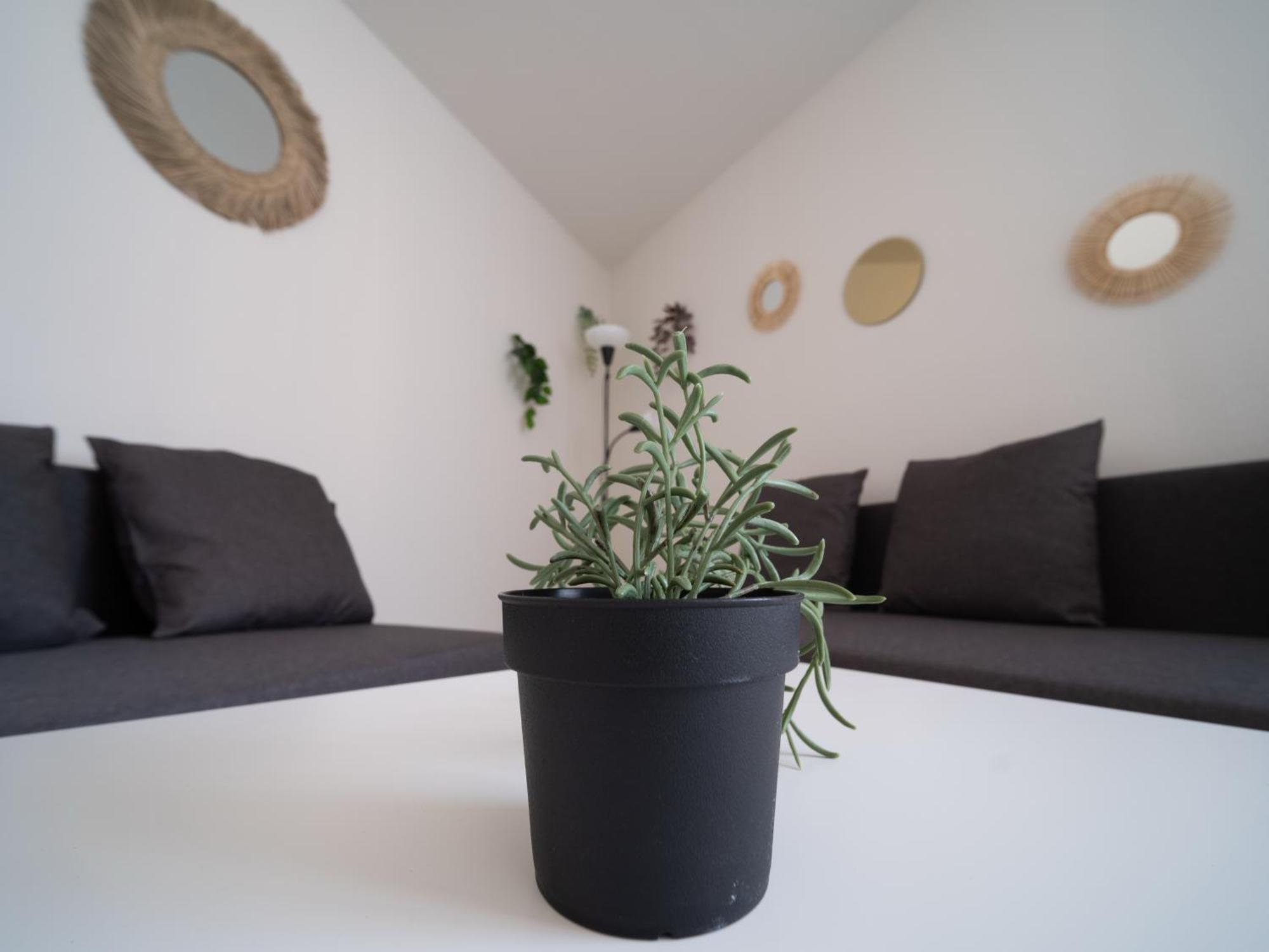 Appartement Tout Equipe A 6Min De La Gare St Charles Marselha Exterior foto